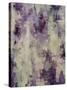 Lavender Touch-Randy Hibberd-Stretched Canvas