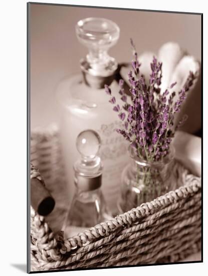 Lavender Tray-Julie Greenwood-Mounted Art Print