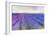 Lavender VI-Li Bo-Framed Giclee Print