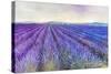 Lavender VI-Li Bo-Stretched Canvas