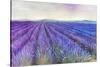 Lavender VI-Li Bo-Stretched Canvas
