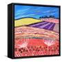 Lavender View-Caroline Duncan-Framed Stretched Canvas