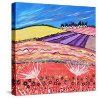 Lavender View-Caroline Duncan-Stretched Canvas