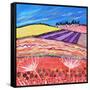 Lavender View-Caroline Duncan-Framed Stretched Canvas