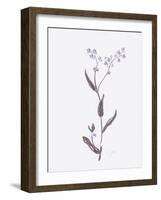 Lavender Wildflowers I-Beverly Dyer-Framed Art Print