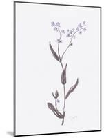 Lavender Wildflowers I-Beverly Dyer-Mounted Art Print