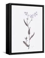 Lavender Wildflowers I-Beverly Dyer-Framed Stretched Canvas