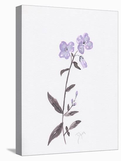 Lavender Wildflowers II-Beverly Dyer-Stretched Canvas