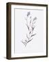 Lavender Wildflowers IV-Beverly Dyer-Framed Art Print