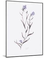 Lavender Wildflowers IV-Beverly Dyer-Mounted Art Print