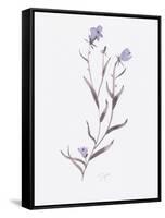 Lavender Wildflowers IV-Beverly Dyer-Framed Stretched Canvas