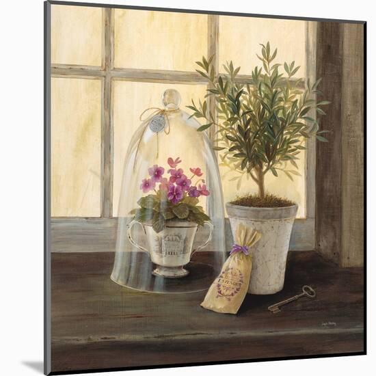 Lavender Window Garden-Angela Staehling-Mounted Art Print