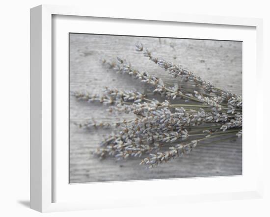 Lavender-Tammy Hanratty-Framed Premium Photographic Print