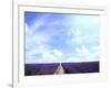 Lavender-null-Framed Photographic Print