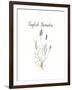 Lavender-Irina Trzaskos Studio-Framed Giclee Print