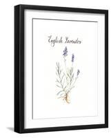 Lavender-Irina Trzaskos Studio-Framed Giclee Print