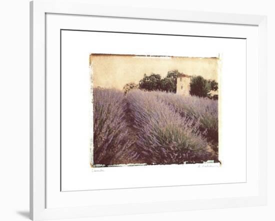 Lavender-Amy Melious-Framed Art Print