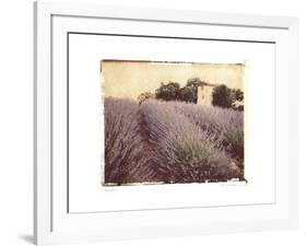 Lavender-Amy Melious-Framed Art Print