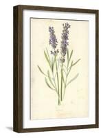 Lavender-Frederick Edward Hulme-Framed Giclee Print