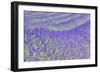 Lavender-Cora Niele-Framed Giclee Print