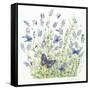 Lavender-Janneke Brinkman-Salentijn-Framed Stretched Canvas