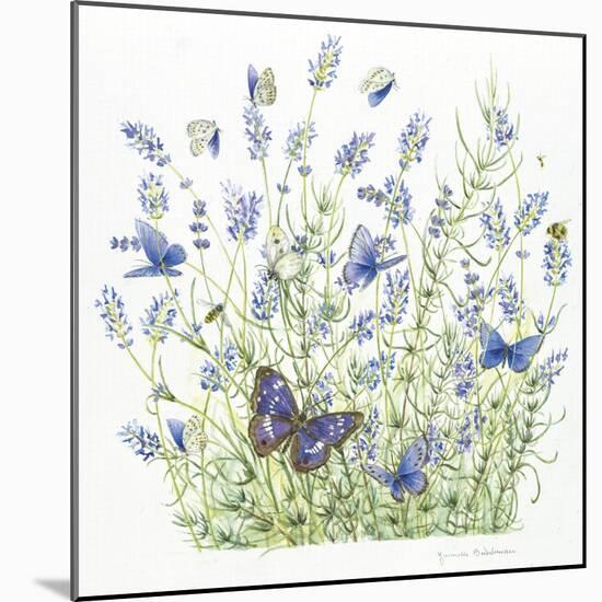 Lavender-Janneke Brinkman-Salentijn-Mounted Giclee Print