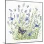 Lavender-Janneke Brinkman-Salentijn-Mounted Giclee Print