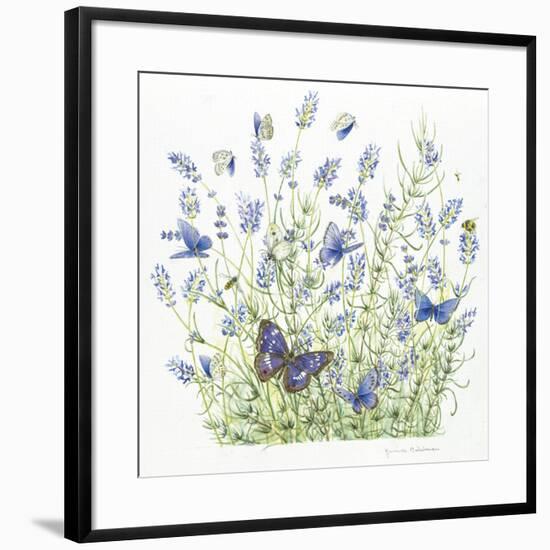 Lavender-Janneke Brinkman-Salentijn-Framed Giclee Print