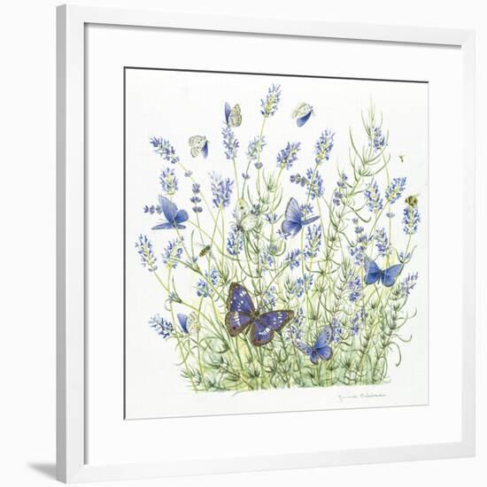 Lavender-Janneke Brinkman-Salentijn-Framed Giclee Print