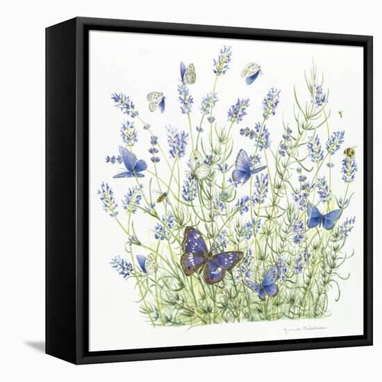 Lavender-Janneke Brinkman-Salentijn-Framed Stretched Canvas