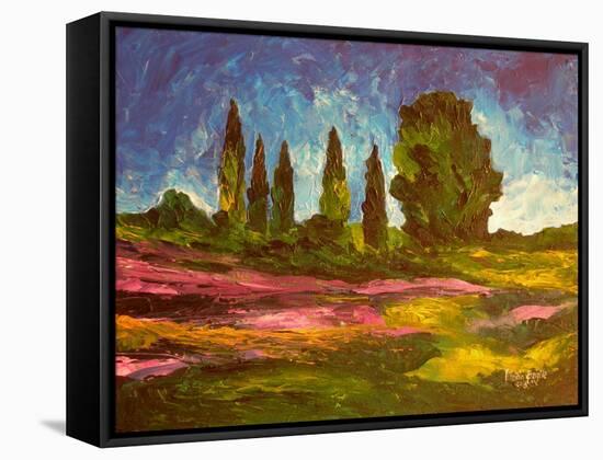 Lavenders are Blooming, 2009-Patricia Brintle-Framed Stretched Canvas