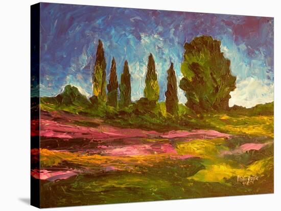 Lavenders are Blooming, 2009-Patricia Brintle-Stretched Canvas