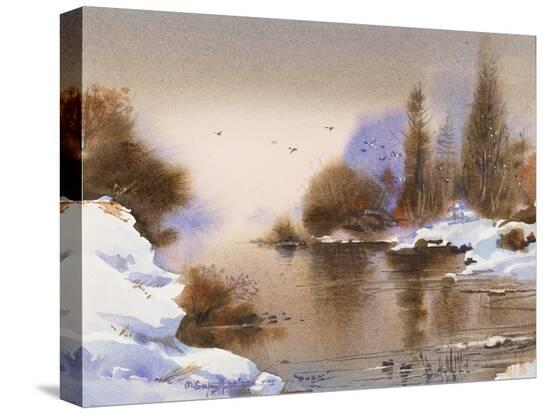 Stretched Canvas Print, , large