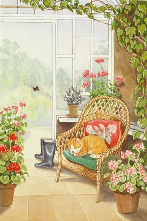 In the Conservatory