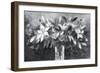 Lavish Lilies-Ann Oram-Framed Giclee Print