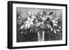 Lavish Lilies-Ann Oram-Framed Giclee Print