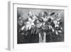 Lavish Lilies-Ann Oram-Framed Giclee Print