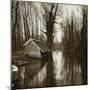 Lavoir-null-Mounted Giclee Print