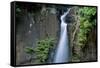 Lawai Stream Waterfall at Allerton Garden, Kauai, Hawaii-Roddy Scheer-Framed Stretched Canvas