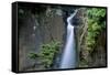 Lawai Stream Waterfall at Allerton Garden, Kauai, Hawaii-Roddy Scheer-Framed Stretched Canvas