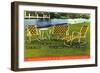 Lawn Furniture-Found Image Press-Framed Giclee Print