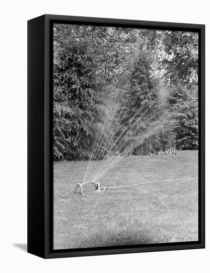 Lawn Sprinkler on Lawn-Philip Gendreau-Framed Stretched Canvas