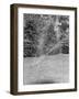 Lawn Sprinkler on Lawn-Philip Gendreau-Framed Photographic Print