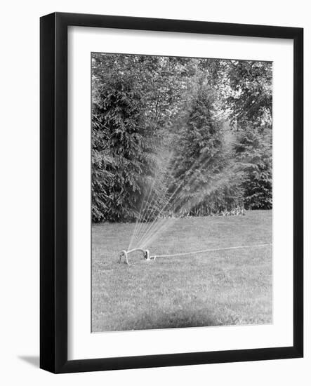 Lawn Sprinkler on Lawn-Philip Gendreau-Framed Photographic Print