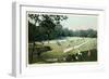 Lawn Tennis in Central Park, New York City-null-Framed Art Print