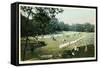 Lawn Tennis in Central Park, New York City-null-Framed Stretched Canvas