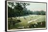 Lawn Tennis in Central Park, New York City-null-Framed Stretched Canvas