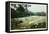 Lawn Tennis in Central Park, New York City-null-Framed Stretched Canvas