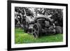 Lawnmower-NagyDodo-Framed Photographic Print