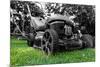 Lawnmower-NagyDodo-Mounted Photographic Print